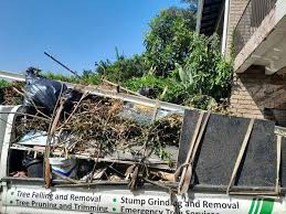 Best Hoarding Cleanup  in Collinsville, AL